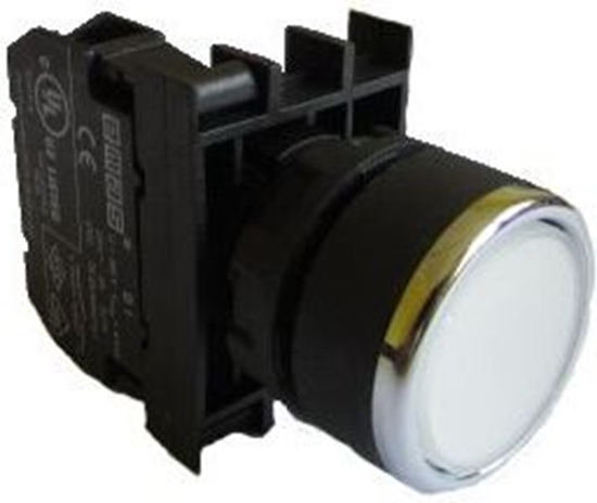 Picture of Emas Przycisk sterowniczy biay 22mm 4A 250V AC (T0-B100DB)
