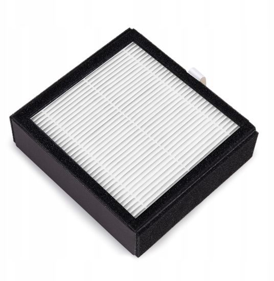 Picture of Filtr do osuszacza powietrza Webber DEQ10