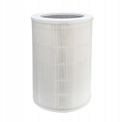 Picture of Filtr powietrzny do oczysczacza powietrza Webber AP8800