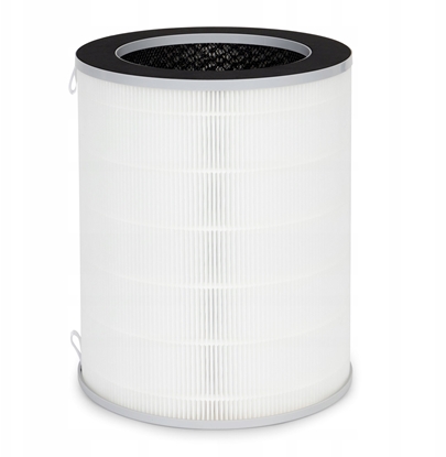 Picture of Filtr powietrzny do oczyszczacza powietrza Webber AP9650