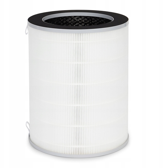 Picture of Filtr powietrzny do oczyszczacza powietrza Webber AP9650