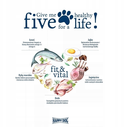 Attēls no Fit & Vital Adult Mini, karma sucha, dla psów maych ras pow.12 mies, 800 g