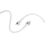 Picture of Forever Flexible Cable USB-C / Lightning / 1m / 20W