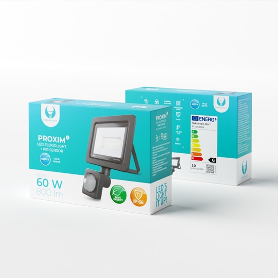Picture of Forever Light Floodlight LED PROXIM II / 10W / 6000K / PIR IP66