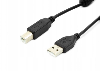 Attēls no Kabel USB Accura USB 2.0 - USB-B ferryt 1.8m czarny