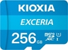Picture of Karta Kioxia EXCERIA PLUS G3 256 GB MicroSDXC UHS-I Klasa 10
