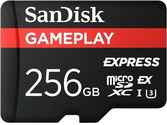 Изображение Karta SanDisk GamePlay MicroSDXC 256 GB Class 10 UHS-I/U3 V30 (SDSQXFN-256G-GN6GN)