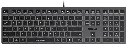 Picture of Klawiatura A4Tech FX60 (FX60-W-GY)