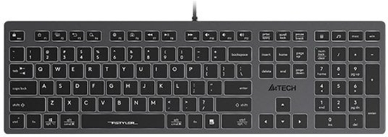 Picture of Klawiatura A4Tech FX60 (FX60-W-GY)