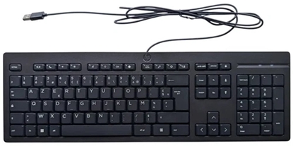 Picture of Klawiatura HP 125 (125 Wired Keyboard FR)