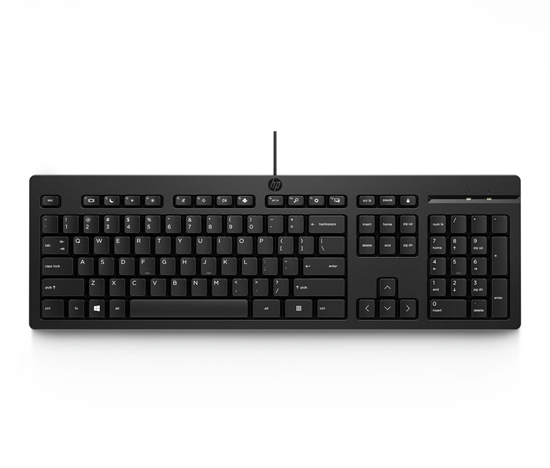 Изображение Klawiatura HP 125 (125 Wired Keyboard GR)