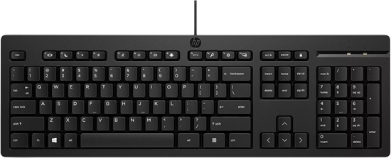 Изображение Klawiatura HP 125 (125 Wired Keyboard SWI)