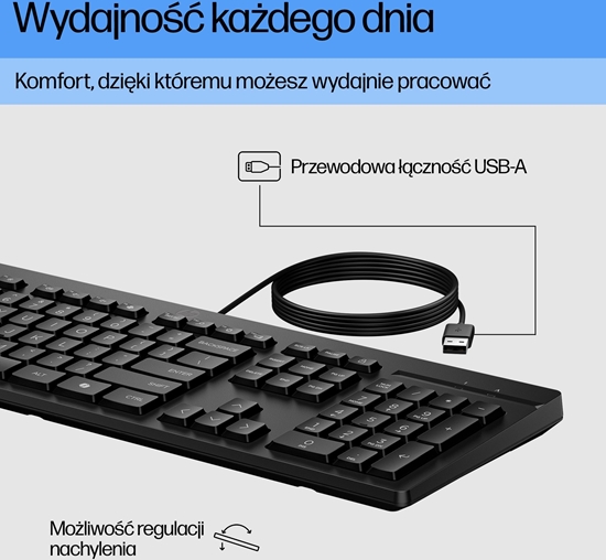 Изображение Klawiatura HP 125 (125 Wired Keyboard Swiss)