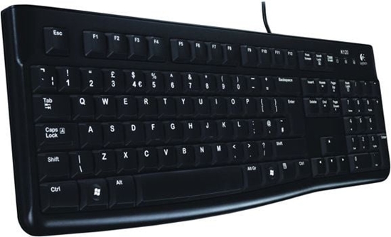 Picture of Klawiatura Logitech K120 (920-002524)