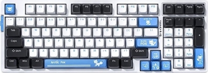 Изображение Klawiatura Triton VGN V98 Pro Gaming Tastatur, Arctic Fox - Limited Edition (US)