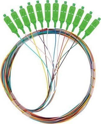 Изображение Lanberg Pigtail SM SC/APC Semi Tight 9/125 G657A1 12X2M multikolor