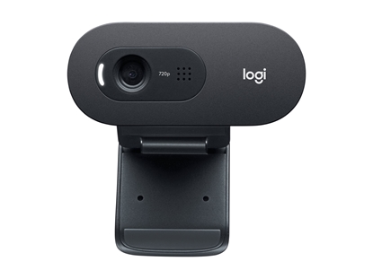 Attēls no Logitech C505e  HD Business Webcam