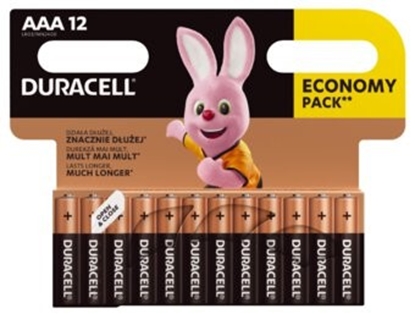 Attēls no LR03 AAA baterija 1.5V Duracell BASIC sērija Alkaline MN2400 Economy iepakojumā 12 gb.