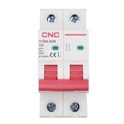 Изображение Miniature Circuit Breaker, 2P, 25A, Class C, 6kA