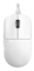Изображение MOUSE USB OPTICAL X2/MEDIUM WHITE PX2222D PULSAR