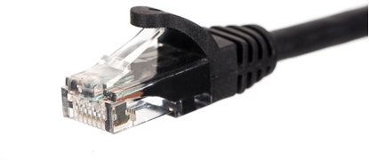 Attēls no NetRack Patchcord UTP kat.5e 1m czarny (BZPAT1UK)