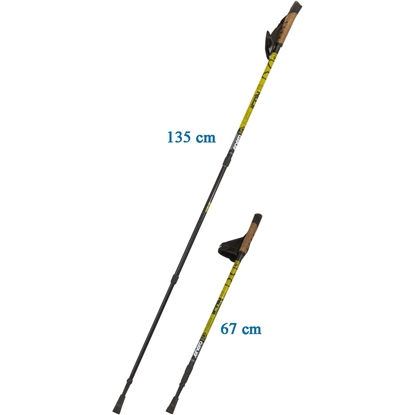 Picture of Nūjošanas nūjas Enero Torino