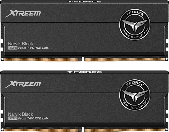 Picture of Pami TeamGroup T-Force Xtreem, DDR5, 32 GB, 8000MHz, CL38 (FFXD532G8000HC38DDC01)