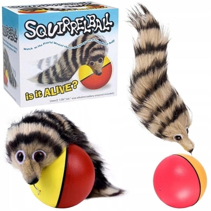 Attēls no Pika z wiewiórk na baterie