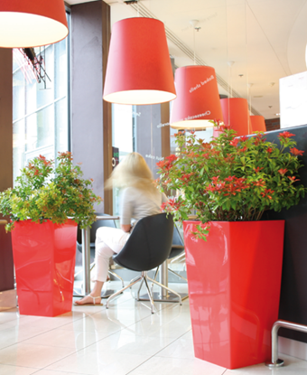 Attēls no Prosperplast Doniczka Urbi Square 400mm antracyt (DURS400-S433)