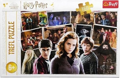 Picture of Trefl Puzzle 160el Harry Potter i przyjaciele 15418 Trefl