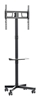 Изображение TV stiprinājums Gembird 32" - 55" TV floor stand with caster wheels