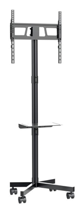 Изображение TV stiprinājums Gembird 32" - 55" TV floor stand with caster wheels