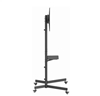 Picture of TV stiprinājums Gembird 37" - 70" TV floor stand with caster wheels