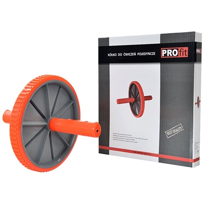 Изображение Vingrošanas ritenis Profit DK 3216-1