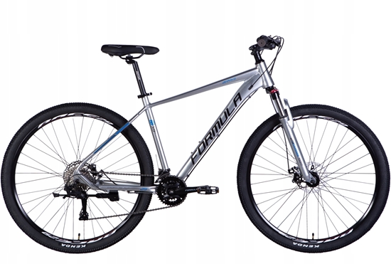 Picture of 29" ZEPHYR 3.0 DD CS 19" Silver/Gray 2025 OPS-FR-29-357 (4823089747538)