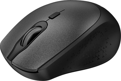 Picture of Accura Laurel ACC-M1054 Computer mouse