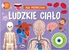 Picture of Czas na zabaw Mój warsztat 16045