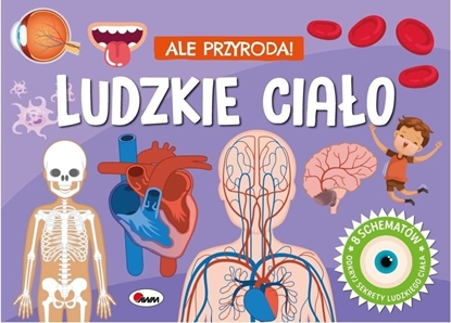 Picture of Ale Przyroda Ludzkie ciao