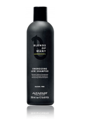 Attēls no Alfaparf Milano Blends of Many Shampoo 250 ml