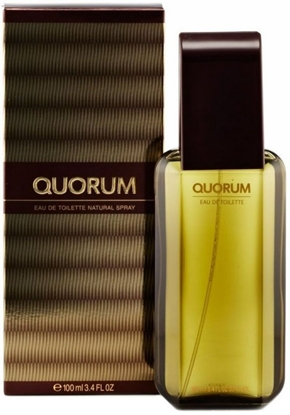 Attēls no Antonio Puig Quorum Perfume EDT 100 ml