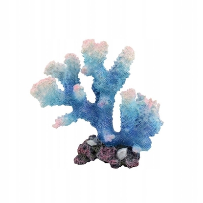 Picture of Aqua Natura Dekoracja akwarystyczna Koralowiec niebieski duy 14cm