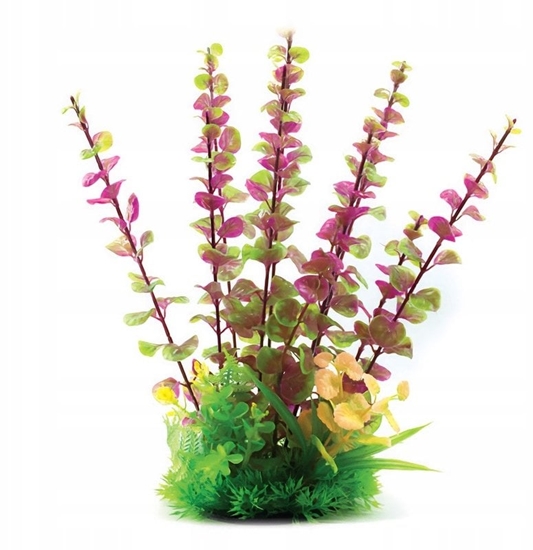 Picture of Aqua Natura, rolina, do dekoracji akwarium, fioletowa, plastikowa, 31 cm , dugie odygi i drobne licie