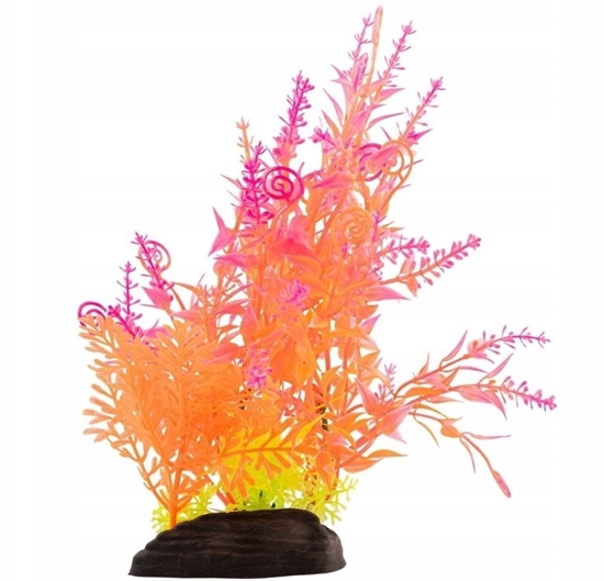 Picture of Aqua Natura, rolina, do dekoracji akwarium, mix kolorów, plastikowa, 20 cm , paprotka i mode pdy