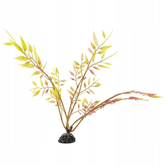 Picture of Aqua Natura, rolina, do dekoracji akwarium, óta, plastikowa, 20 cm , mody beniaminek