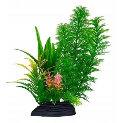 Picture of Aqua Natura, rolina, do dekoracji akwarium, zielona z róowym akcentem, plastikowa, 20 cm , paprotka i spirulina