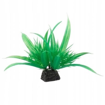Picture of Aqua Natura, rolina, do dekoracji akwarium, zielona, plastikowa, 10 cm , spirulina