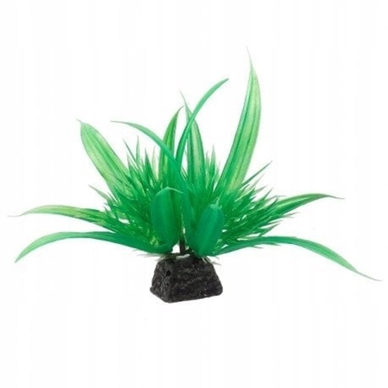 Picture of Aqua Natura, rolina, do dekoracji akwarium, zielona, plastikowa, 10 cm , spirulina