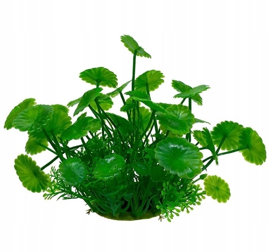 Picture of Aqua Natura, rolina, do dekoracji akwarium, zielona, plastikowa, 12 cm , licie parasolowate