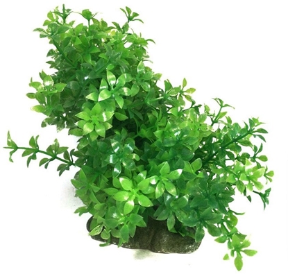 Picture of Aqua Natura, rolina, do dekoracji akwarium, zielona, plastikowa, 12-18 cm , gsta w drobne licie