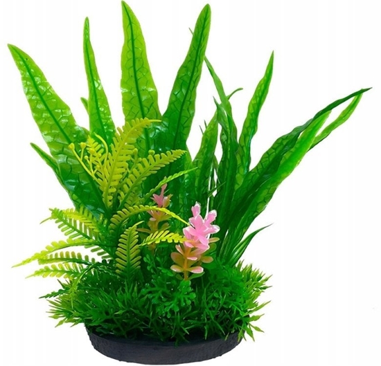 Picture of Aqua Natura, rolina, do dekoracji akwarium, zielona, plastikowa, 18 cm , papro i wodororost leny z róowym akcentem